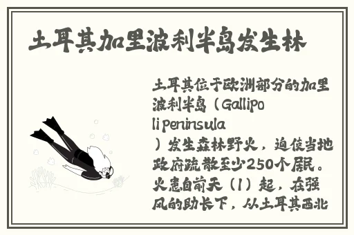我的兔兔好多软水视频下载
